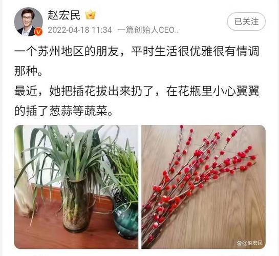 上海好生活电影券出票失败_上海生活哪里好_上海好生活农产供应链公司
