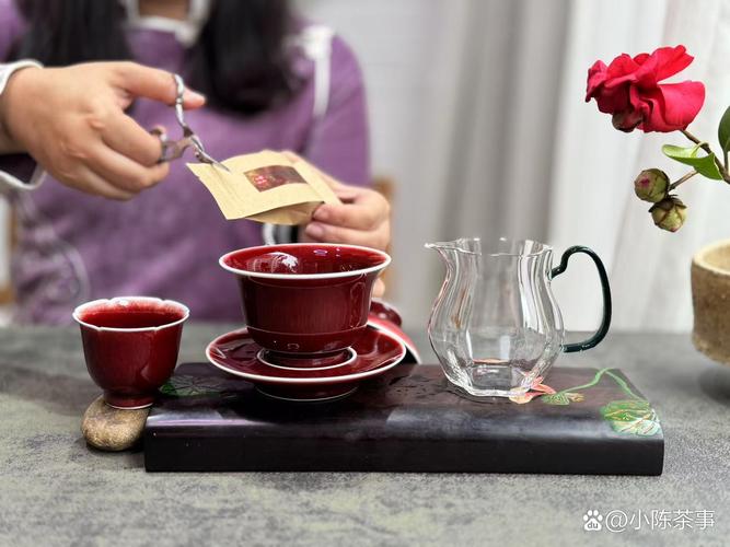 上海品茶不踩雷 这几家老茶客都说好